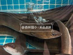 -金家炭火烤肉烤鳗鱼(环球中心店)