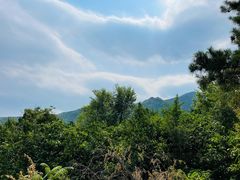 -阳台山自然风景区