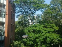 android_upload_pic-中山大学学者灵芝(园南路店)