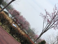 -淇河金沙滩