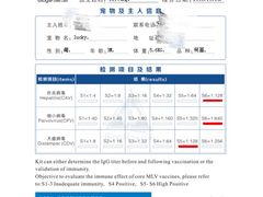 -菲丽丝宠物医院·24小时·猫科中心·免疫点(淮海分院)