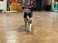 -酷鱼垂钓CLUB(朝阳区博大路店 )