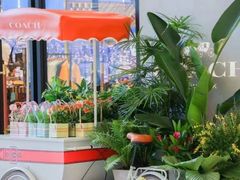 -COACH蔻驰(星光68广场店)