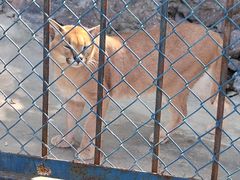 -大连森林动物园