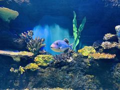 -华夏文旅海洋公园