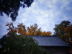 -浮来山风景区