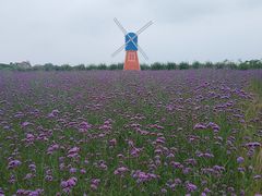 -江天生态园餐厅