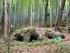 -上海佘山国家森林公园天马山园