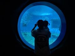 -北戴河圣蓝海洋公园