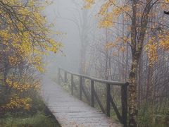 -外滩九号KTV(东外滩商业广场店)