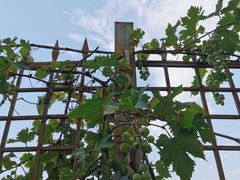 -北京天湖会议中心