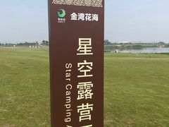 -洪湖湿地生态园