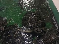 -常州海昌海洋探索馆