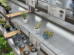 -鹿岛生活(熙地港店)