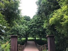 -张坝桂圆林公园