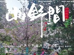 -广州市白云山风景名胜区