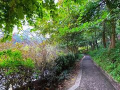 -广州市帽峰山景区