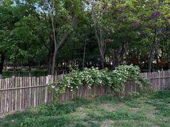 -Supine Bistro溯泮餐厅