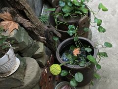 -重庆巴渝火锅(钟家村店)