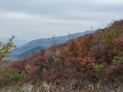 -北京西山国家森林公园