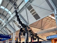 -奥黑尔国际机场