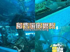 -乐从天佑城海洋馆