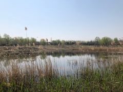 -东郊湿地公园