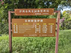 -张坝桂圆林公园
