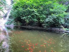 -北京上方山国家森林公园