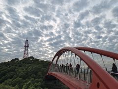 -金鸡山公园