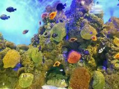 -洛阳龙门海洋馆