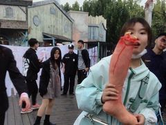 -郑州方特梦幻王国