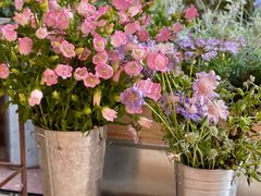 -二酉书店TOYOU BOOKS