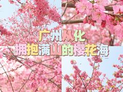 -天适樱花悠乐园