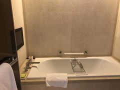 -长沙富力万达文华酒店