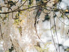 -红星桥(地铁站)