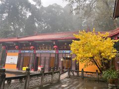 -都江堰普照寺