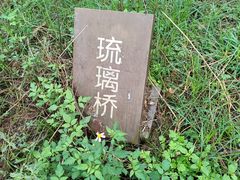 -白鹭湾湿地公园