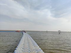 -碧海金沙