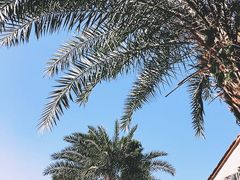 -金穗园温泉酒店