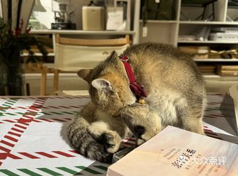 原野咖啡露营小酒馆集合店