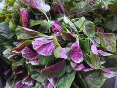 -珠光市场(文德南路)