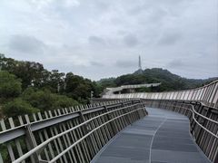 -福道