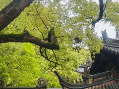 -普陀山风景名胜区-法雨禅寺