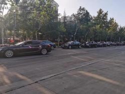 -蚂蚁婚车