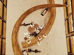 -福禧酒窖·中餐厅 (万柳店)