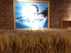 -鄱阳湖·江西小炒·瓦罐煨汤(五道口店)