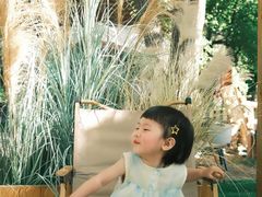 -十亩森林