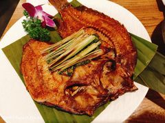 -紫滇源云南生态菜(丹凤街店)