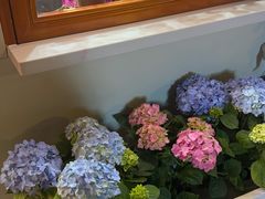 -花屿鲜花(淡水店)